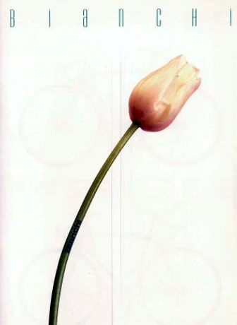 Catalog Image