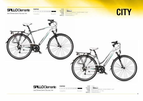 Catalog Image