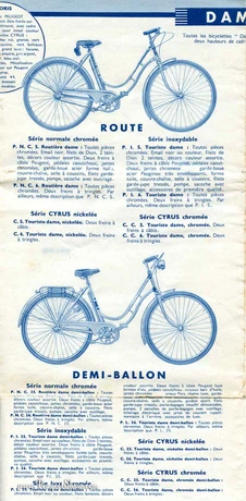 Catalog Image