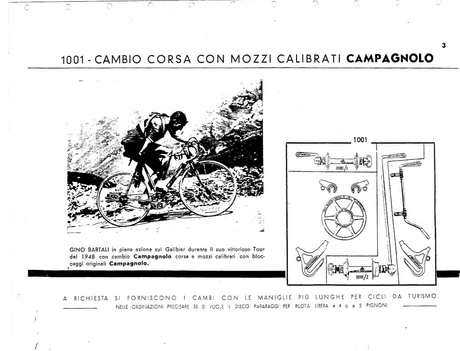 Catalog Image