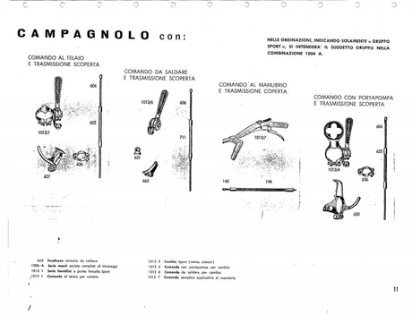 Catalog Image