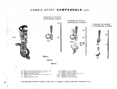 Catalog Image