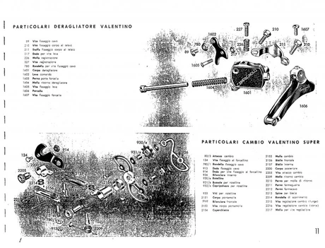 Catalog Image