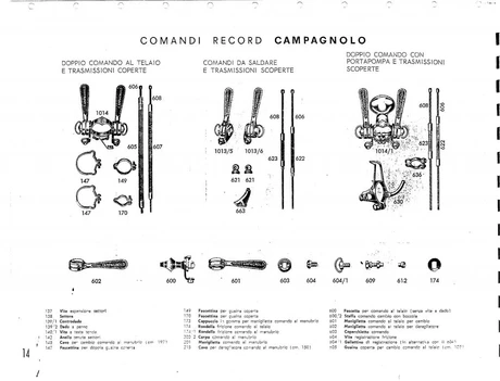 Catalog Image