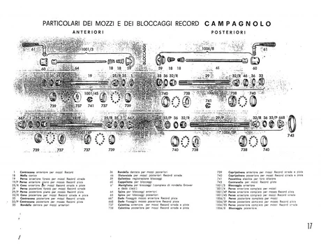 Catalog Image