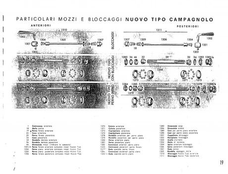 Catalog Image