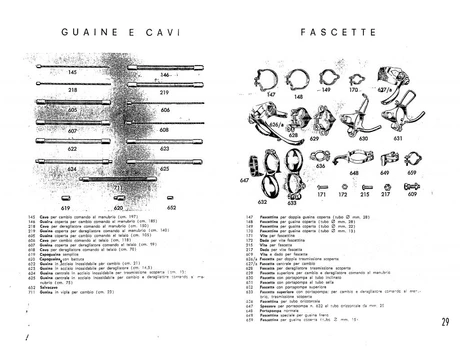 Catalog Image