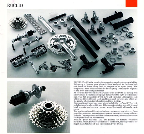 Catalog Image