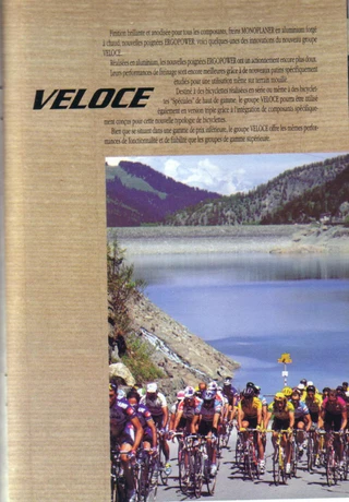 Catalog Image