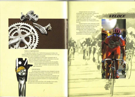 Catalog Image