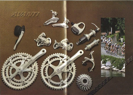 Catalog Image