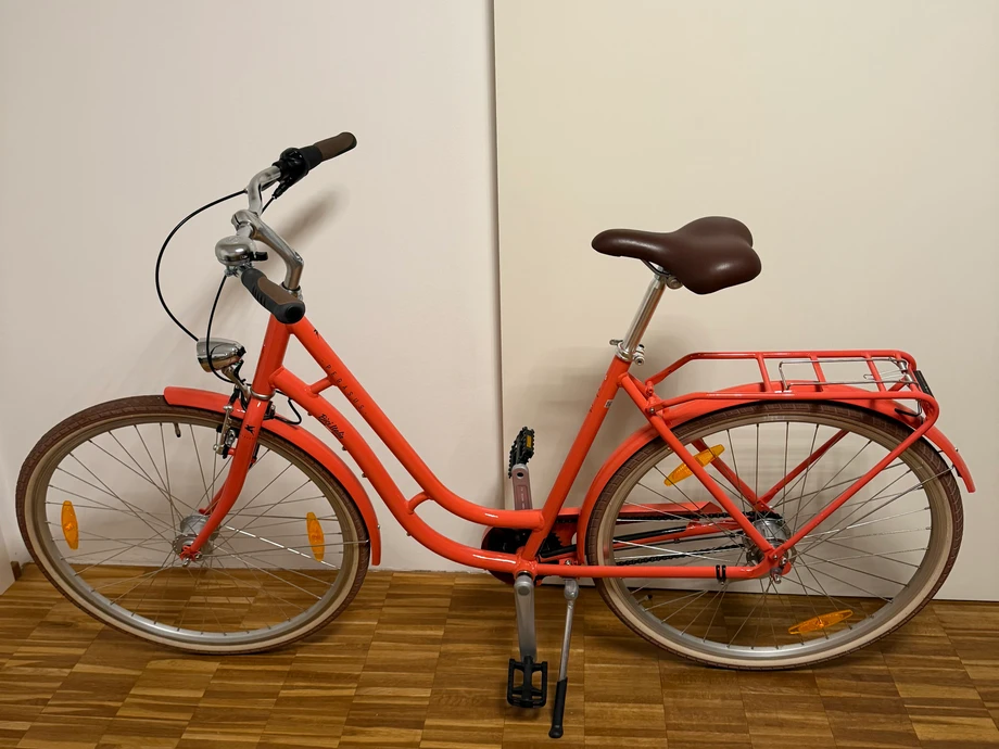citybikeurban-Ingolstadt--Pegasus-_-perfect-c1524fd Detailbild #1