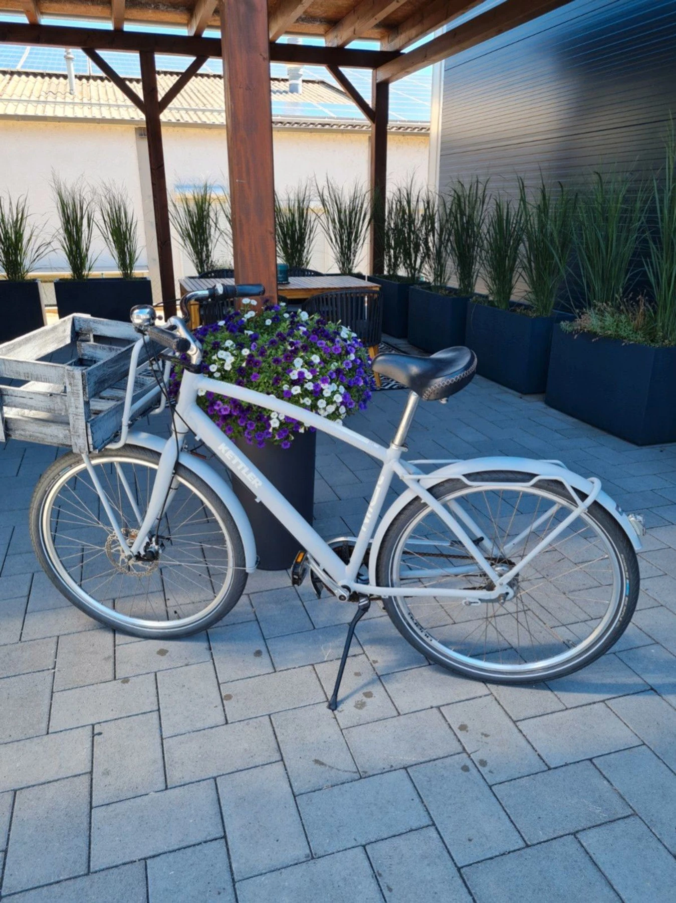 cargobike-Gundersheim--Kettler-Berlin_Cargo-perfect-c0dc5d3 Detailbild #2