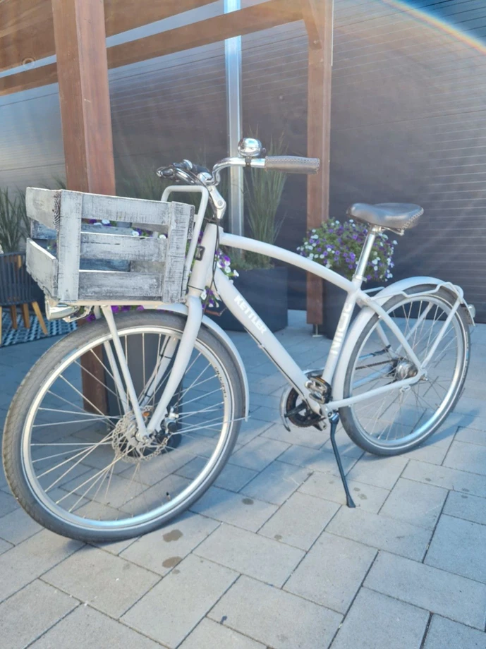 cargobike-Gundersheim--Kettler-Berlin_Cargo-perfect-c0dc5d3 Detailbild #3