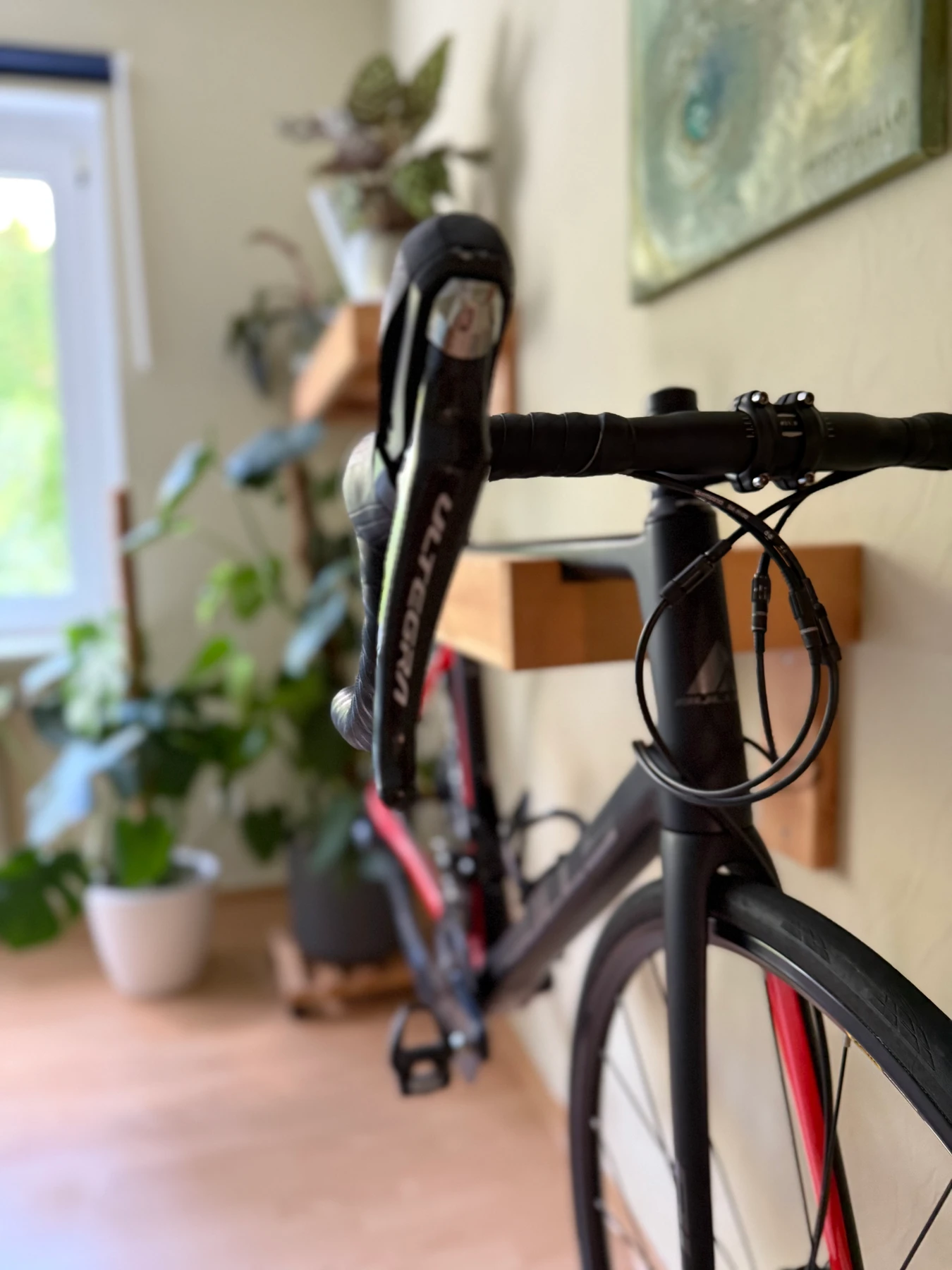 racebike-Essen--Bulls-Desert_Falcon-nearlyperfect-c14d8bd Detailbild #2