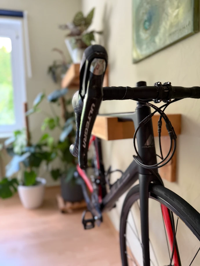 racebike-Essen--Bulls-Desert_Falcon-nearlyperfect-c14d8bd Detailbild #1