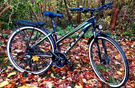 mtb-Paderborn--Bulls-Crossbike_Street_-goodstat-cd3da17