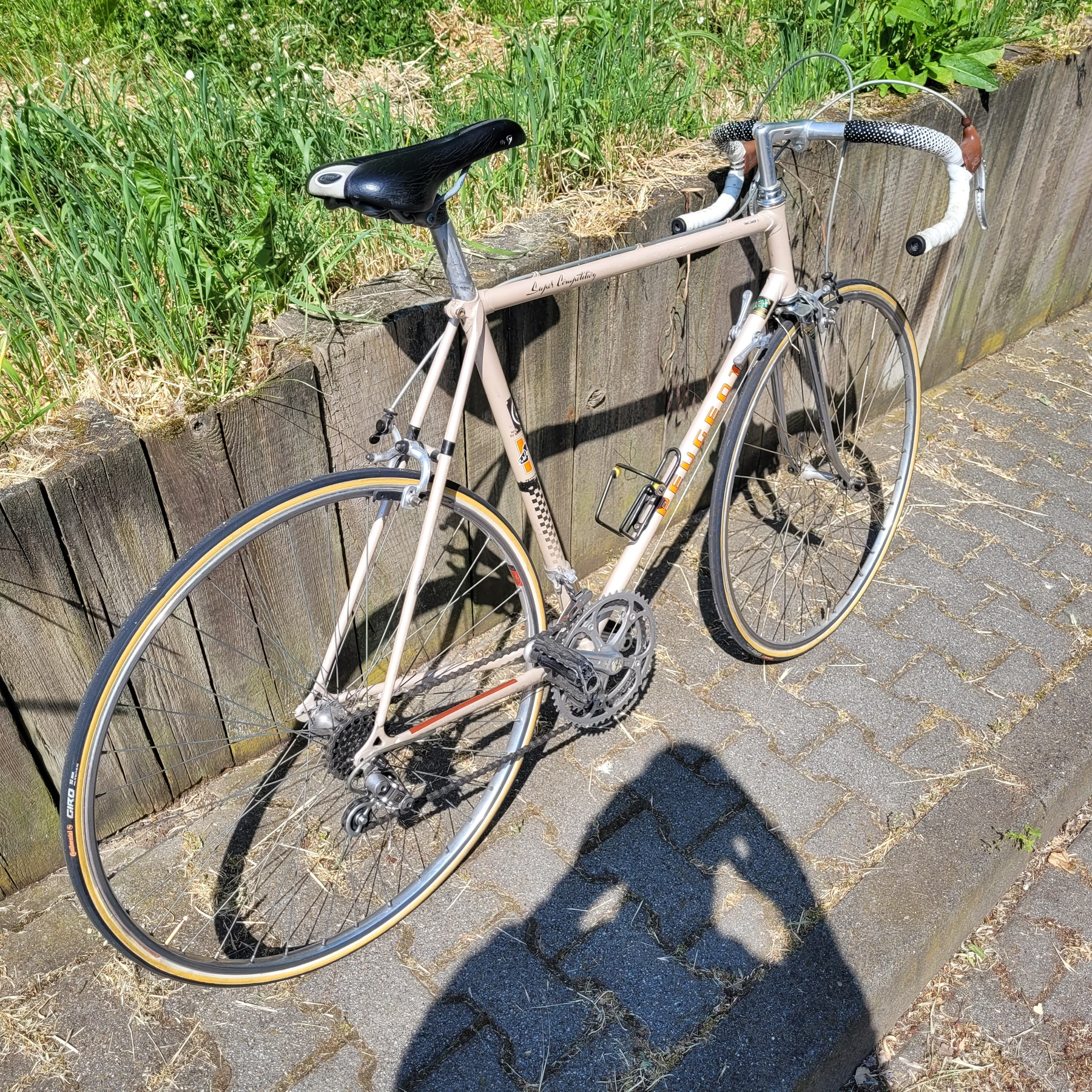 racebike-Frankfurt_am_Main--Peugeot-Super_Competition_53-nearlyperfect-95524f9 Detailbild #8