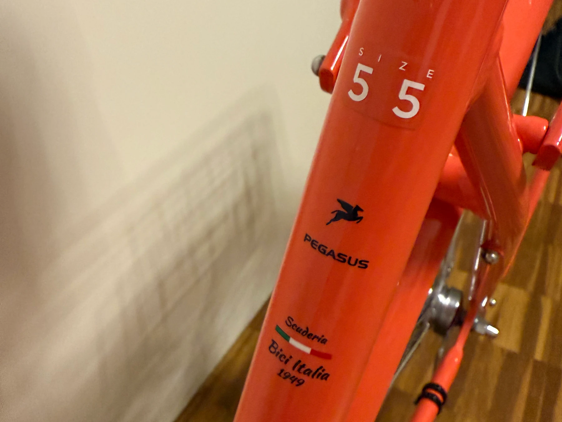 citybikeurban-Ingolstadt--Pegasus-_-perfect-c1524fd Detailbild #3