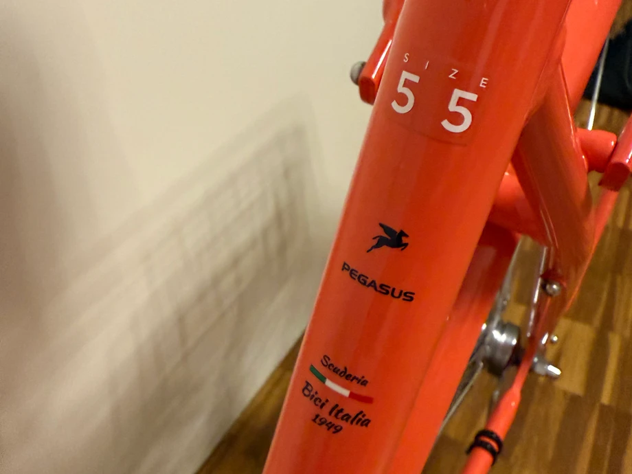citybikeurban-Ingolstadt--Pegasus-_-perfect-c1524fd Detailbild #2