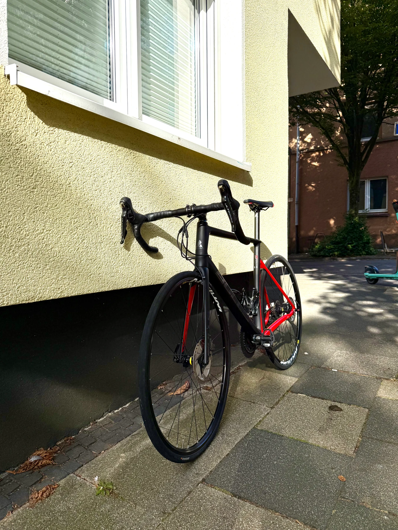 racebike-Essen--Bulls-Desert_Falcon-nearlyperfect-c14d8bd Detailbild #10