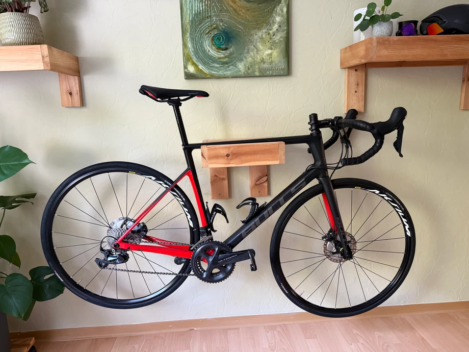 racebike-Essen--Bulls-Desert_Falcon-nearlyperfect-c14d8bd Titelbild