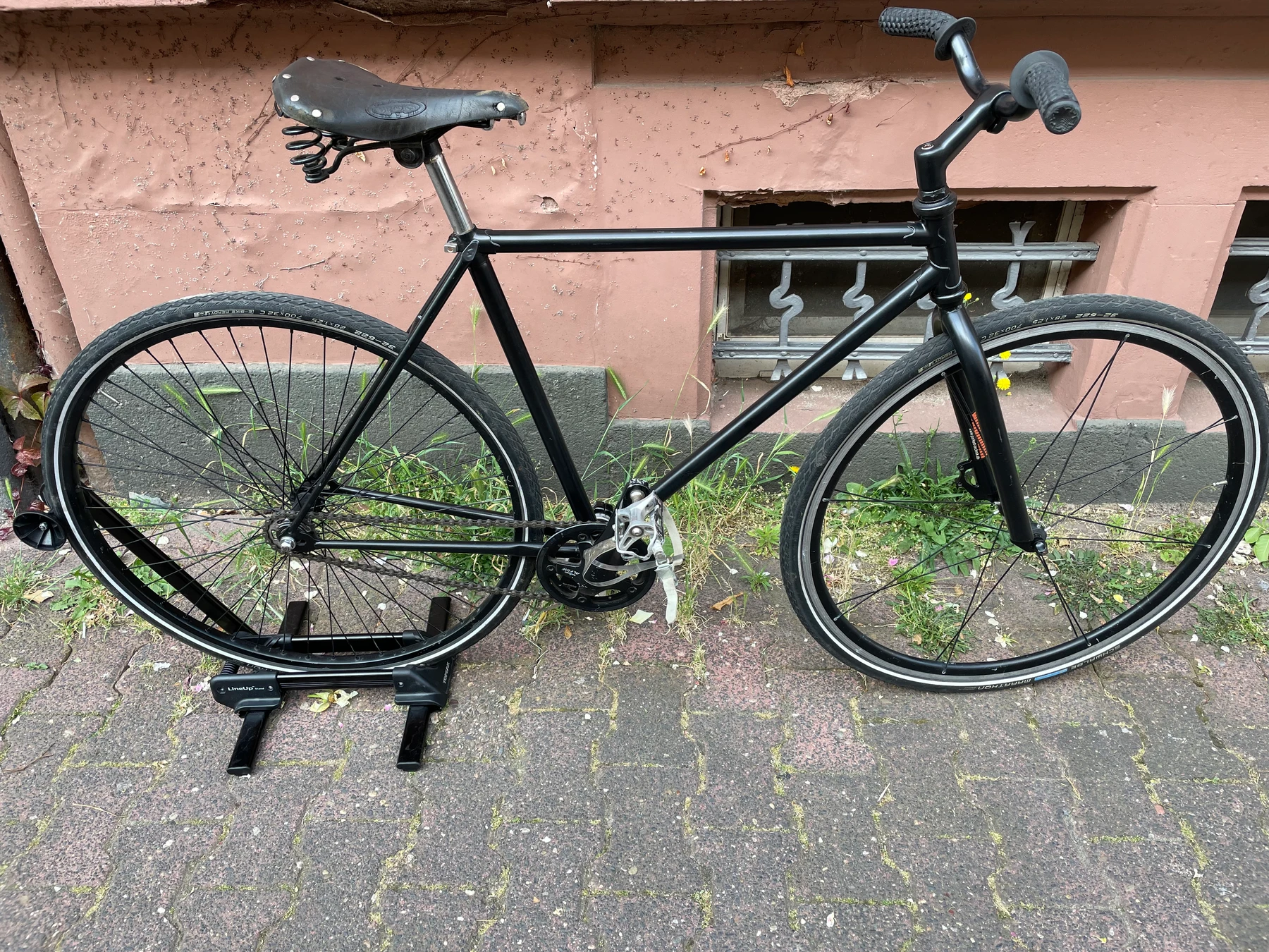 fixie-Frankfurt_am_Main--Diamant-Custom_Fixie-goodstat-8179ad3 Detailbild #1