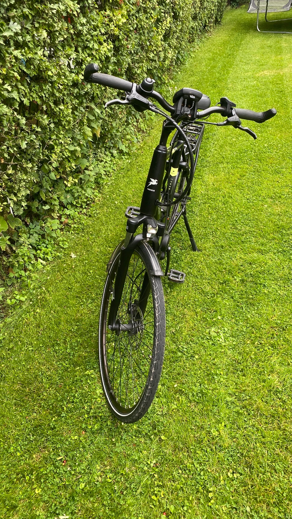 trekkingbike-Lingen_Ems--Pegasus-Premier_Evo_9-goodstat-30f8af4 Detailbild #2