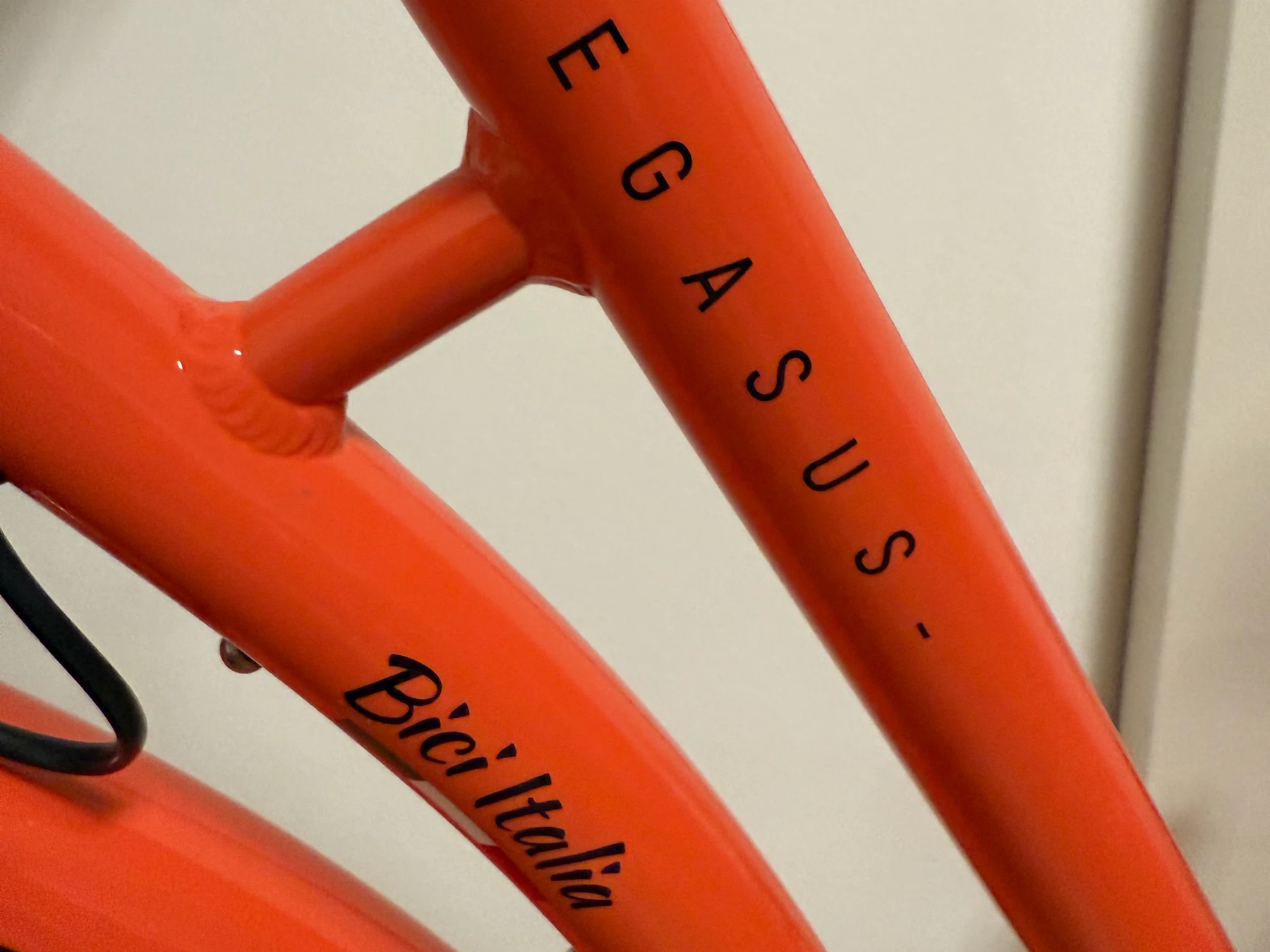 citybikeurban-Ingolstadt--Pegasus-_-perfect-c1524fd Detailbild #4