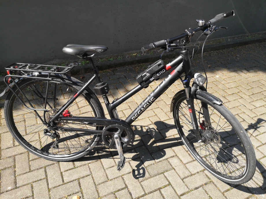 trekkingbike-Frankfurt_am_Main--Pegasus-Solero_SL_Disc-goodstat-8839a75 Titelbild