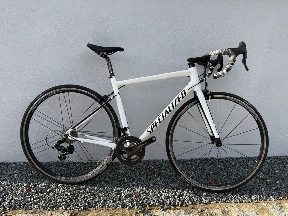 racebike-LuheWildenau--Specialized-Allez_Sport-nearlyperfect-ba67f53 Titelbild