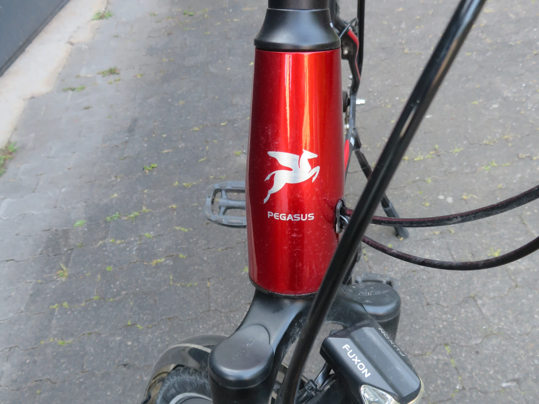 trekkingbike-Frankfurt_am_Main--Pegasus-Premio_SL_HSi_8-nearlyperfect-9545de6 Detailbild #2