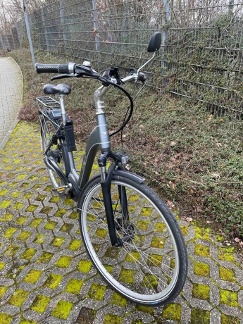 easyentry-Hagen--EBIKE-C001_Kings_Road_FL_L-nearlyperfect-2772bee