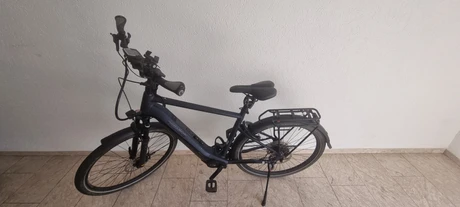 citybikeurban-Bingen_am_Rhein--Pegasus-Evo_light_Comfort_CX-nearlyperfect-bce1a3c