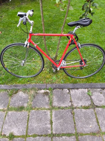racebike-Gelsenkirchen--Pinarello-Treviso-goodstat-cd7f749