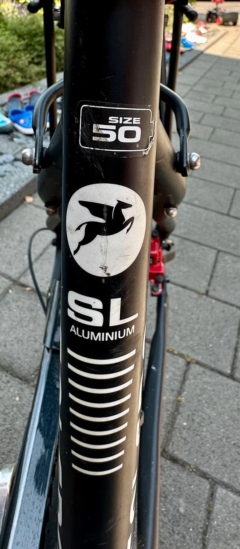 trekkingbike-Bad_Vilbel--Pegasus-Solero_Disc_SL-nearlyperfect-310d731 Detailbild #8