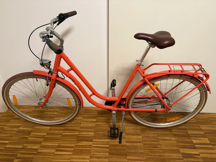 citybikeurban-Ingolstadt--Pegasus-_-perfect-c1524fd Titelbild
