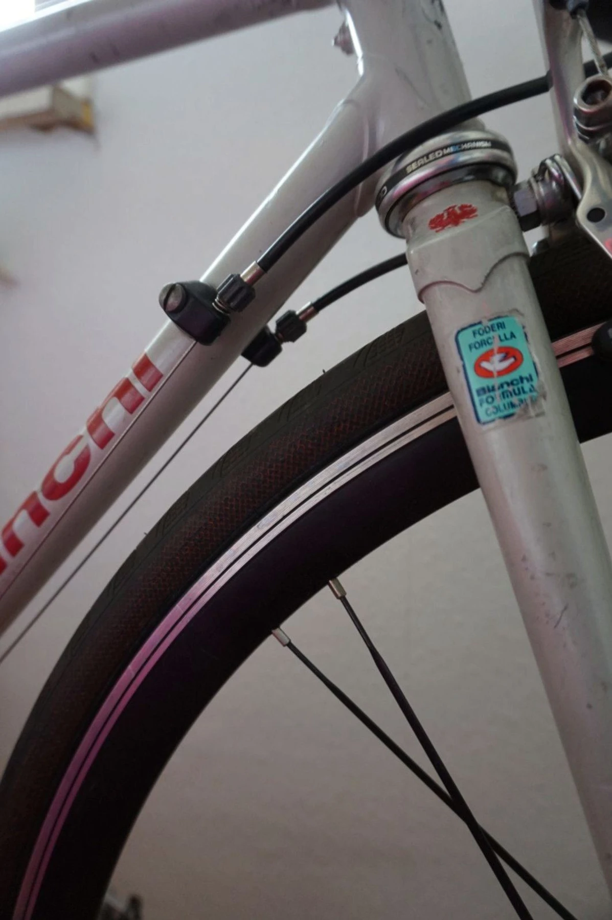 racebike-Offenbach_am_Main--Bianchi-CAMPAGNOLO_Veloce_RH-goodstat-3ceeb20 Detailbild #12