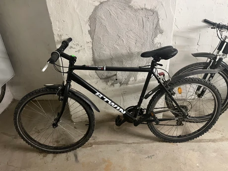 mtb-Frankfurt_am_Main--Rockrider-_-nearlyperfect-6231d24