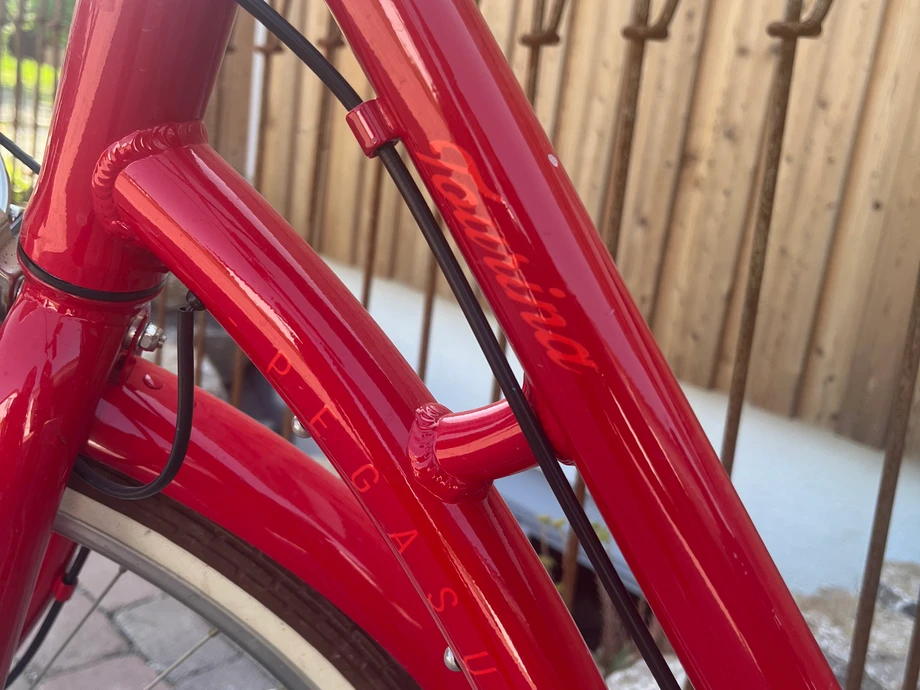 citybikeurban-Knzelsau--Pegasus-Tourina-nearlyperfect-c272a17 Detailbild #3
