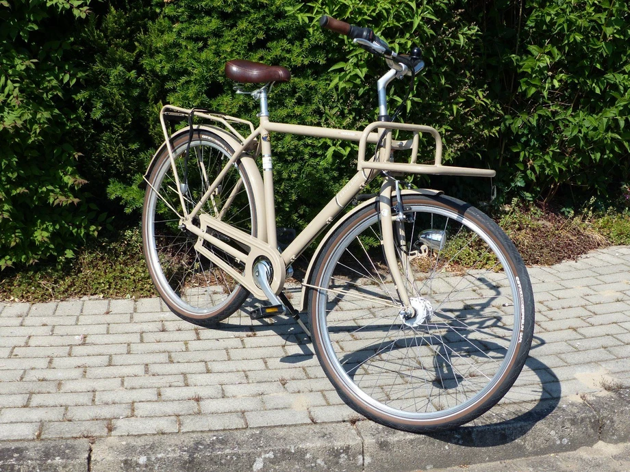 citybikeurban-_--Excelsior-Swan_Retro_28_Zoll_7-nearlyperfect-3f564f4 Detailbild #3