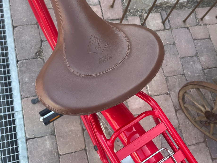 citybikeurban-Knzelsau--Pegasus-Tourina-nearlyperfect-c272a17 Detailbild #2