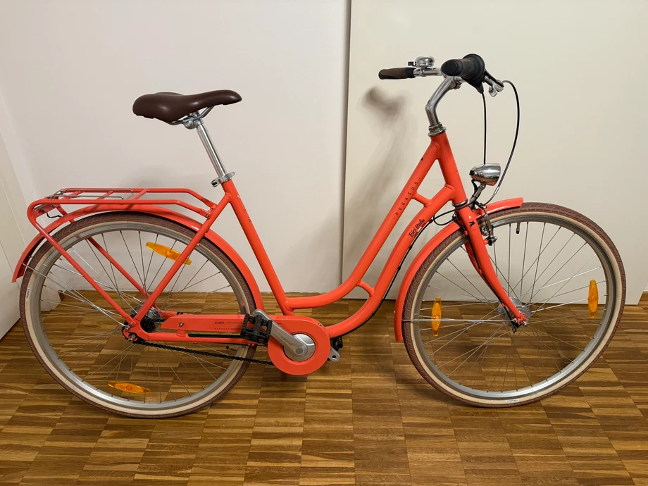 citybikeurban-Ingolstadt--Pegasus-_-perfect-c1524fd Detailbild #4